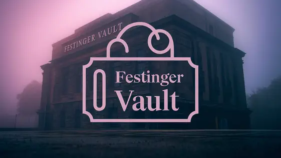 Festinger vault search alerts