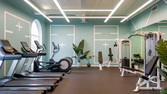Fitness Hub Theme